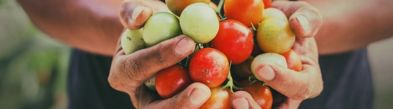 &ldquo;Radici per crescere&rdquo;: un nuovo inizio per il reinserimento sociale attraverso l&rsquo;agricoltura multifunzionale